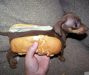 BST - WooCommerce - Virtual Hotdogs
